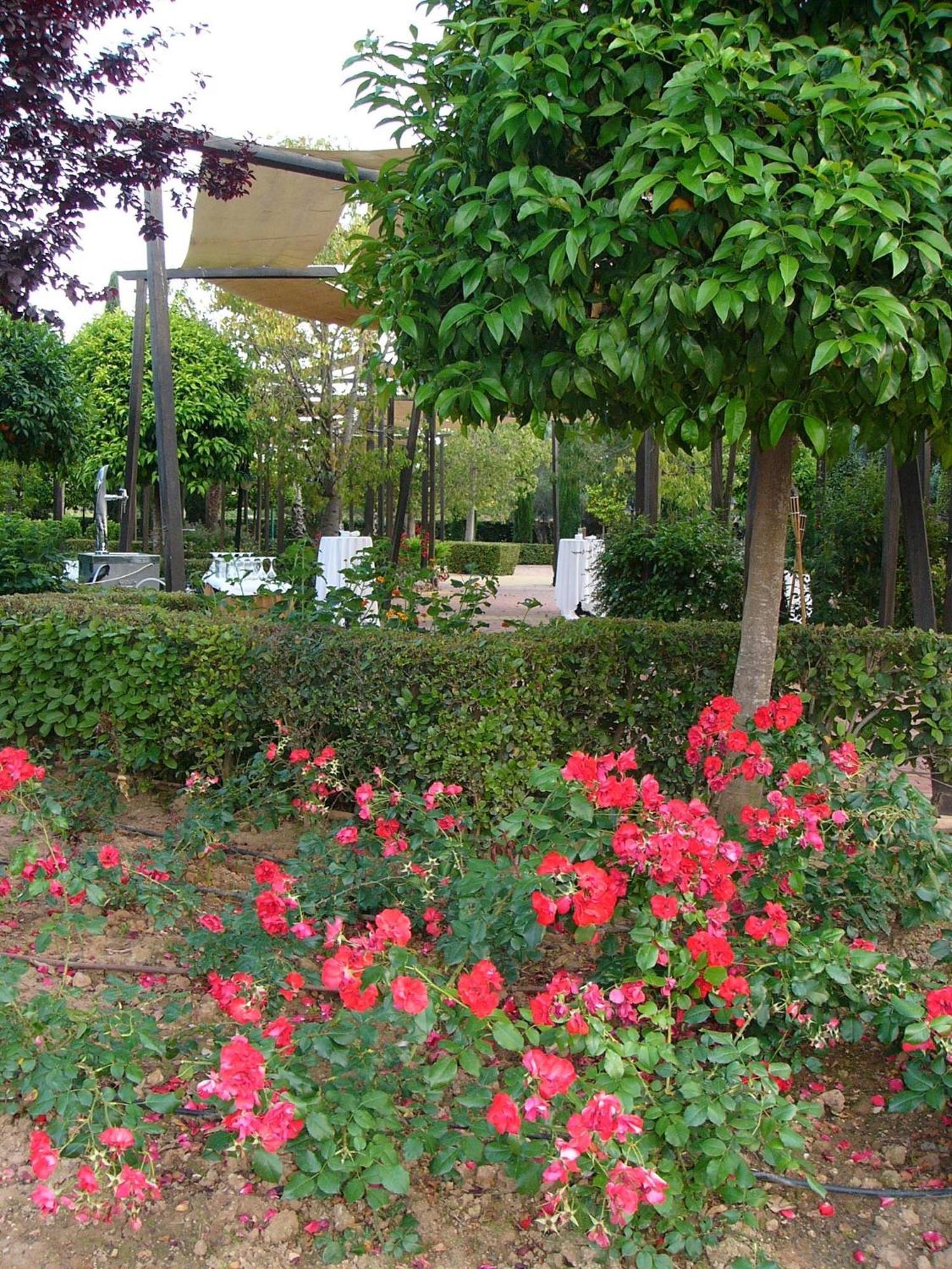 Hotel Ad Hoc Parque Bétera Esterno foto